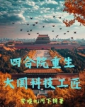 四合院重生,大国科技工匠